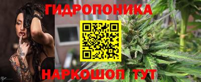 шишки Моздок