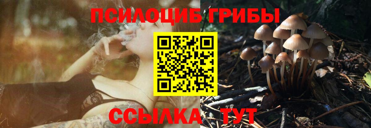 Галлюциногенные грибы GOLDEN TEACHER  Вход с VPN  Усинск  Галлюциногенные грибы Psilocybe 
