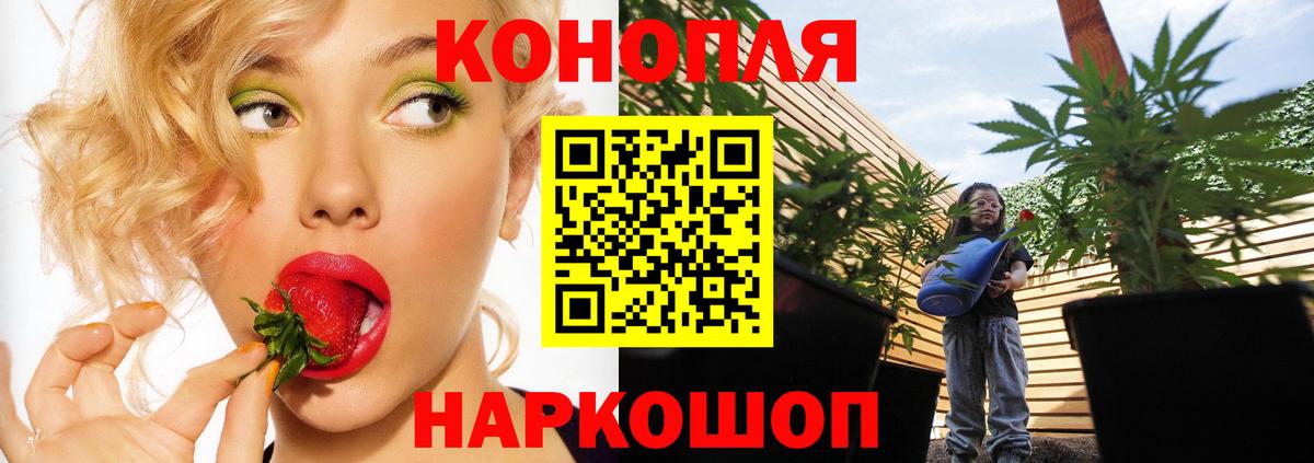 Каннабис планчик Усинск